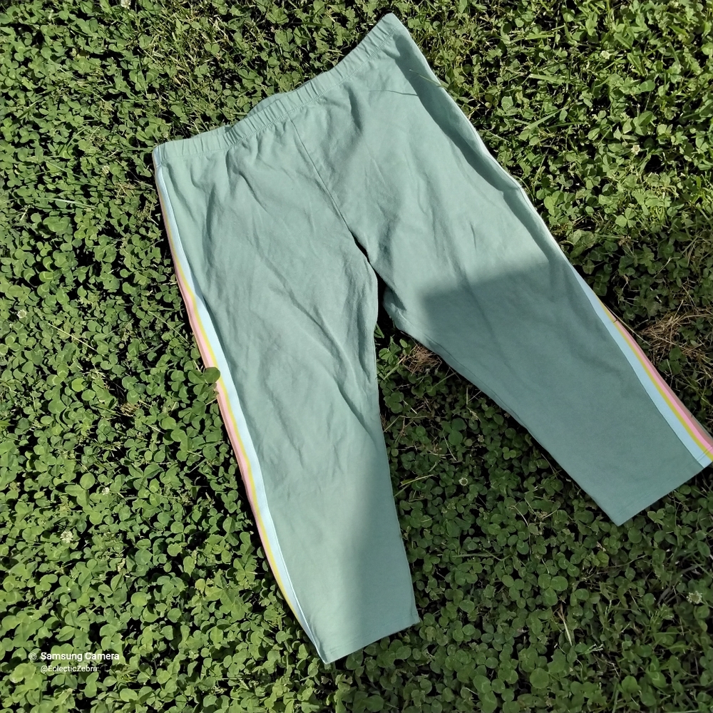 ARIZONA JEAN CO. PANTS